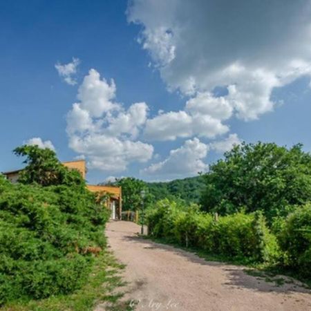 Gite Du Mont Plaisir Villa Chouvigny Buitenkant foto