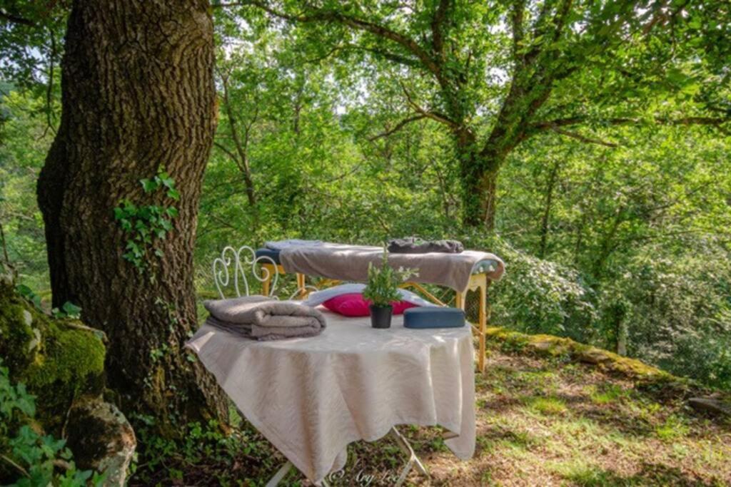 Gite Du Mont Plaisir Villa Chouvigny Buitenkant foto